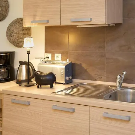 Aelia Luxury With Private Entrance Apartment Karavomylos